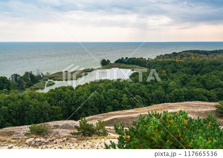 View of Swan Lake from observation deck on Olenya Buda dunes. Curonian Spit National Park. Russia 117665536