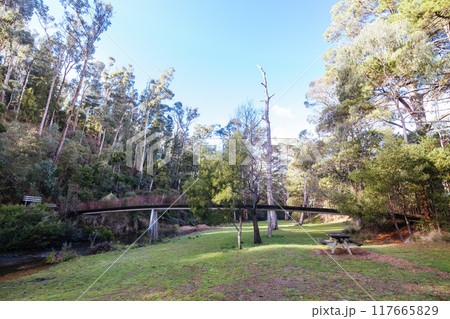 Blackwood Mineral Springs in Victoria Australia Blackwood Mineral Springs in Victoria Australia 117665829