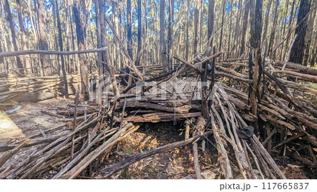 Victorian Rural Country Bush Camp in Australia 117665837