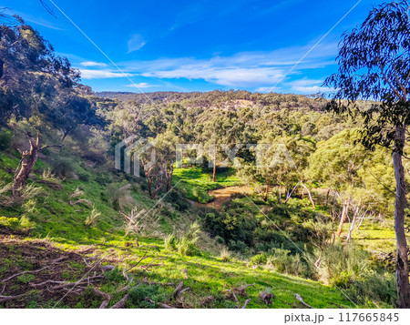 Plenty Gorge Parklands in Australia Plenty Gorge Parklands in Australia 117665845