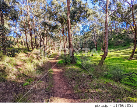 Plenty Gorge Parklands in Australia Plenty Gorge Parklands in Australia 117665853