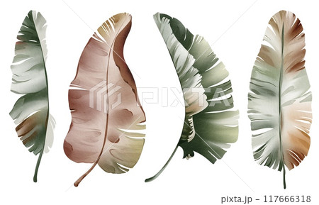 Watercolor set banana leaf isolated on white background. Tropical botanical plant. Hand-drawn Illustration foliage isolated for cards, invitations, weddings and other. Floral element palm leave. 117666318