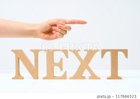 「NEXT」と並べられたアルファベットの木製ブロック 「NEXT」と並べられたアルファベットの木製ブロック 117666523