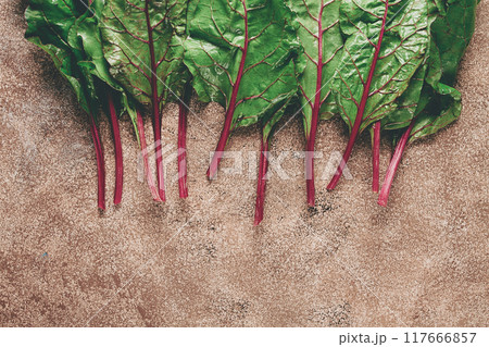 fresh, green leaves, stem with beet leaves, on the table, top view, rustic, no people, fresh, green leaves, stem with beet leaves, on the table, top view, rustic, no people, 117666857