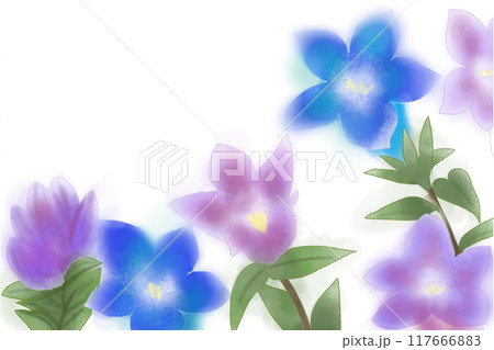 竜胆の花のカード1 117666883