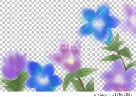 竜胆の花のカード1 117666883
