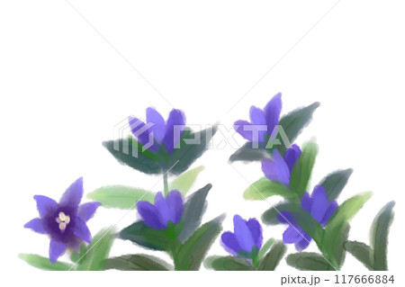 竜胆の花のカード2 竜胆の花のカード2 117666884