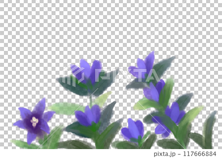 Gentian flower card 2 117666884