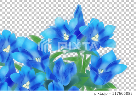 Gentian flower card 3 117666885