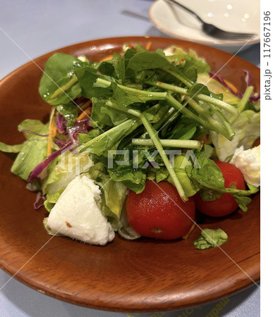野菜サラダ 野菜サラダ 117667196