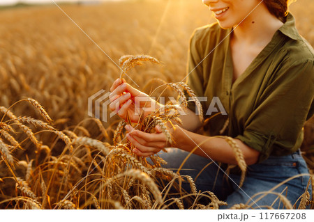 Young woman farmer walking across field and running her hand through golden ears of wheat harvest. 117667208
