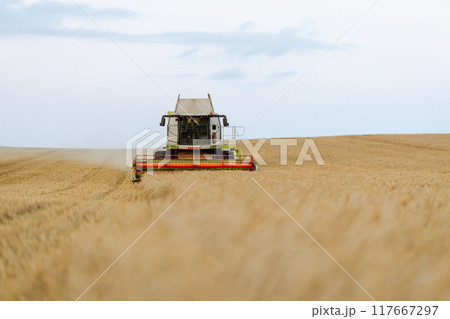 Modern industrial combine harvester harvests wheat cereals on a summer day. Rich harvest concept. Modern industrial combine harvester harvests wheat cereals on a summer day. Rich harvest concept. 117667297