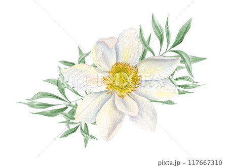 Single white lotus flower among green tropical leaves watercolor realistic illustration. Waterlily and eucalyptus branches bouquet for wedding greeting, spa salon decor, cosmetic package 117667310