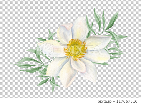 Single white lotus flower among green tropical leaves watercolor realistic illustration. Waterlily and eucalyptus branches bouquet for wedding greeting, spa salon decor, cosmetic package 117667310