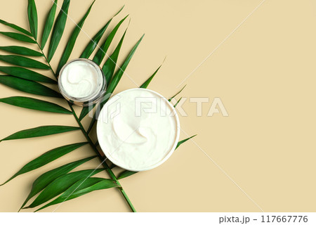 Natural skin care products and palm leaf 117667776