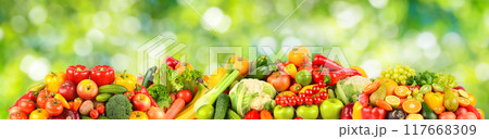 Collection of fruits, berries and vegetables on green Collection of fruits, berries and vegetables on green 117668309