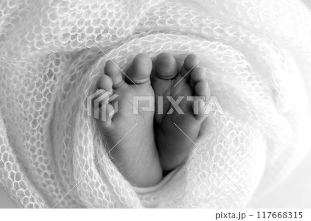 Foot of a newborn. Close up feet, toes, heels, feet of a newborn baby. Studio monochrome, vintage style, black and white macro photography. Foot of a newborn. Close up feet, toes, heels, feet of a newborn baby. Studio monochrome, vintage style, black and white macro photography. 117668315