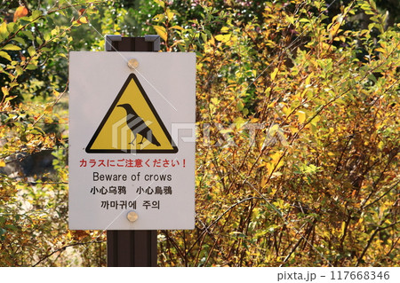 カラスに注意 カラスに注意 117668346