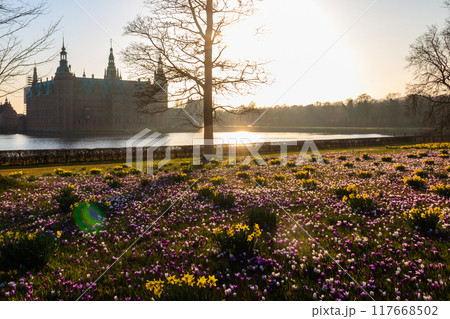 View of Frederiksborg castle in Hillerod, Denmark. Beautiful lake and garden with crocuses and daffodils on a foreground View of Frederiksborg castle in Hillerod, Denmark. Beautiful lake and garden with crocuses and daffodils on a foreground 117668502