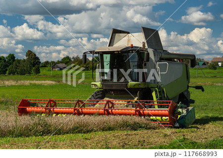 The harvester is working in the field. The combine harvester harvests wheat 117668993
