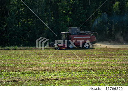 The harvester is working in the field. The combine harvester harvests wheat The harvester is working in the field. The combine harvester harvests wheat 117668994