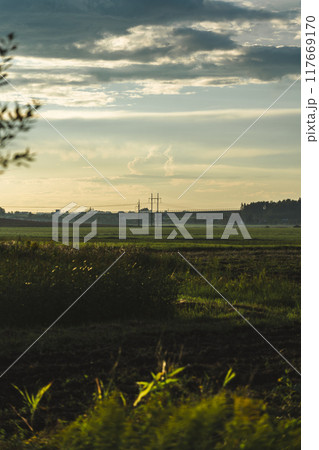 A green farmer's field in the evening at sunset. Fog over a green field 117669170