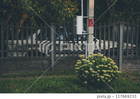 A forgotten, white car stands behind a fence. Car is covered with mold and moss A forgotten, white car stands behind a fence. Car is covered with mold and moss 117669233