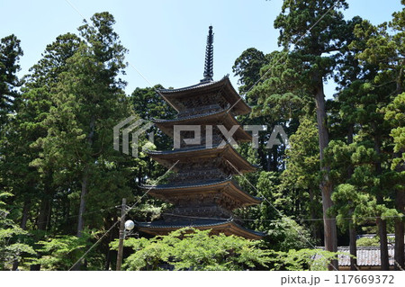 善法寺五重塔 国の登録有形文化財 117669372