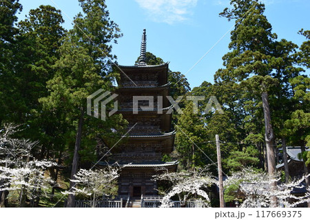 善法寺五重塔 国の登録有形文化財 善法寺五重塔 国の登録有形文化財 117669375