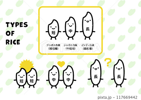 お米のタイプ・短粒・中粒・長粒 お米のタイプ・短粒・中粒・長粒 117669442