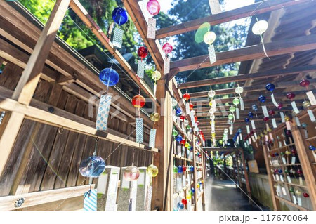 夏の熊野神社(熊野大社) 風鈴の飾り「かなで」 山形県南陽市 夏の熊野神社(熊野大社) 風鈴の飾り「かなで」 山形県南陽市 117670064