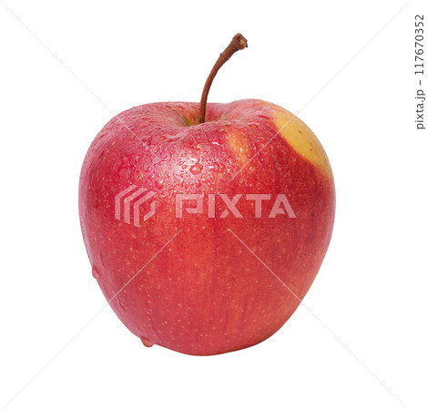 Red and yellow ripe apple isolated on white. Apple, fruit 117670352