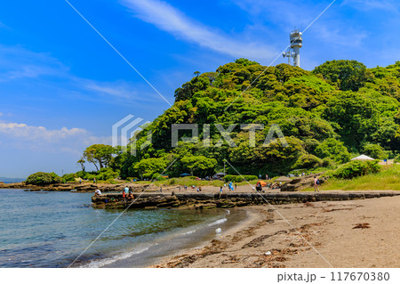 神奈川県　横須賀市　神奈川県立観音崎公園の海岸 117670380