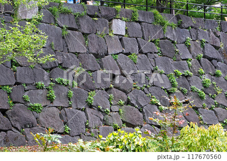 日比谷公園 旧江戸城の石垣跡【東京都千代田区】 日比谷公園 旧江戸城の石垣跡【東京都千代田区】 117670560