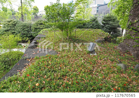 日比谷公園　旧江戸城の石垣跡【東京都千代田区】 117670565