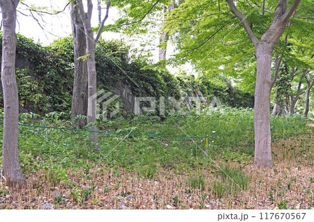 日比谷公園 旧江戸城の石垣跡【東京都千代田区】 日比谷公園 旧江戸城の石垣跡【東京都千代田区】 117670567