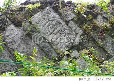 日比谷公園　旧江戸城の石垣石【東京都千代田区】 117670568