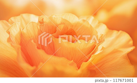 美しい花びらのディテール15 美しい花びらのディテール15 117671001