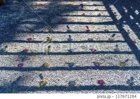 夏の熊野神社(熊野大社) 風鈴の飾り「かなで」の影 山形県南陽市 夏の熊野神社(熊野大社) 風鈴の飾り「かなで」の影 山形県南陽市 117671284