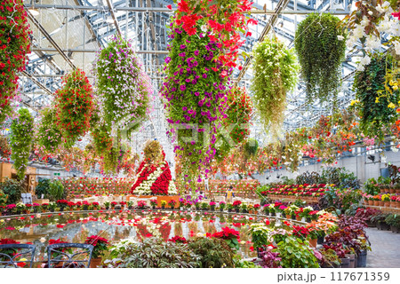 なばなの里【ベゴニアガーデン・クリスマス仕様】 なばなの里【ベゴニアガーデン・クリスマス仕様】 117671359