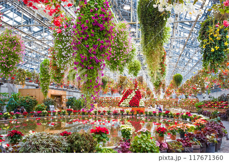 なばなの里【ベゴニアガーデン・クリスマス仕様】 117671360