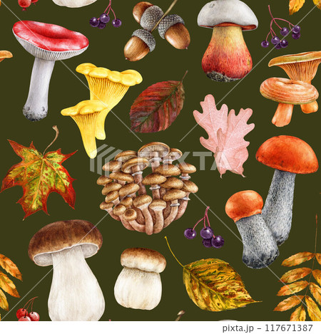 Autumn mood forest mushrooms, fallen tree leaves seamless pattern in warm colors on dark background. Watercolor vintage style illustration. Painted edible mushroom, autumn leaves, berries elements Autumn mood forest mushrooms, fallen tree leaves seamless pattern in warm colors on dark background. Watercolor vintage style illustration. Painted edible mushroom, autumn leaves, berries elements 117671387