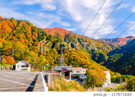 紅葉に包まれる谷川岳ロープウェイ 紅葉に包まれる谷川岳ロープウェイ 117671680