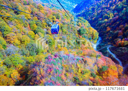 紅葉の谷を行く谷川岳ロープウェイ 117671681