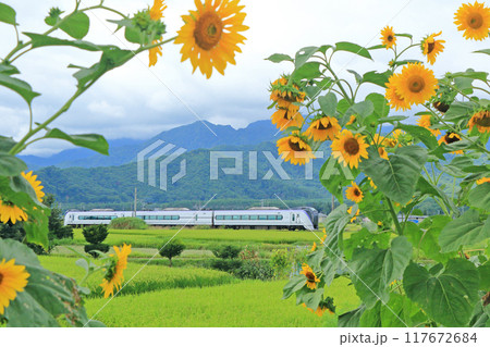 夏の大糸線 特急あずさ1号 夏の大糸線 特急あずさ1号 117672684