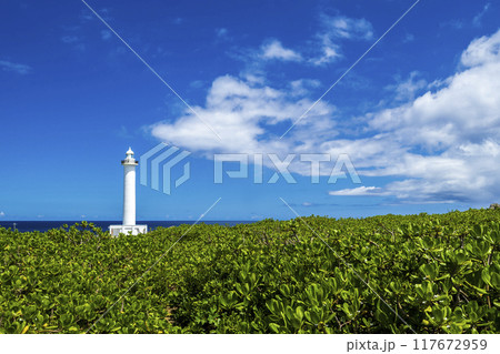 沖縄　海　空 117672959