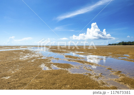 沖縄 海 空 沖縄 海 空 117673381