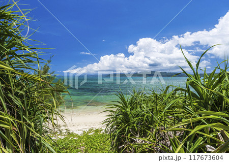 沖縄 海 空 沖縄 海 空 117673604