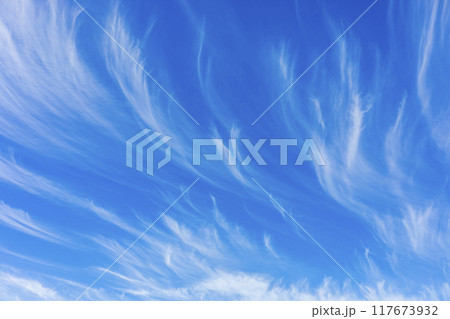 沖縄　空 117673932