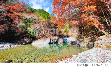 秋の阿寺渓谷 秋の阿寺渓谷 117674038